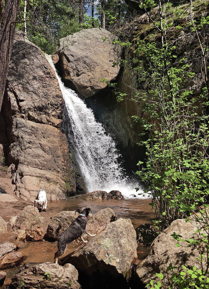 Four hikes for the Fourth